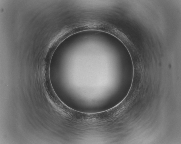 X0000067950730200604131435