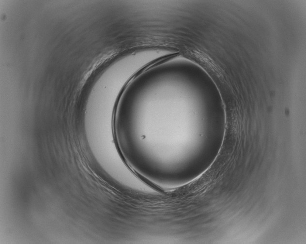 X0000067950731200604131435