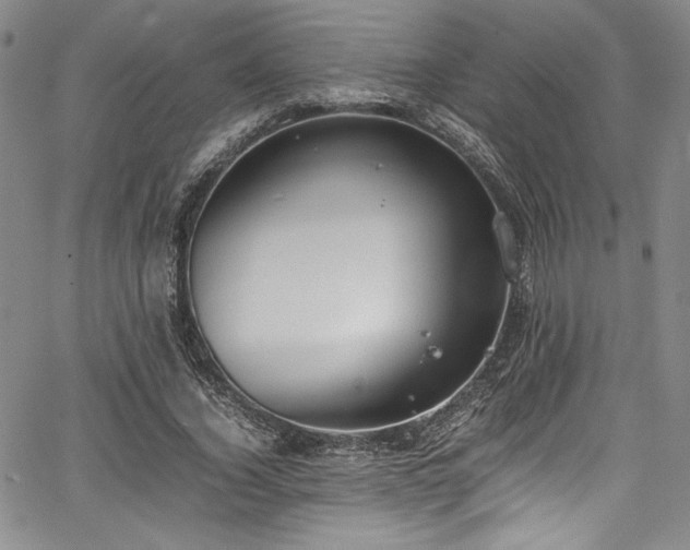 X0000067950732200604131435