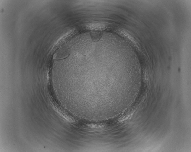 X0000067950733200604131435