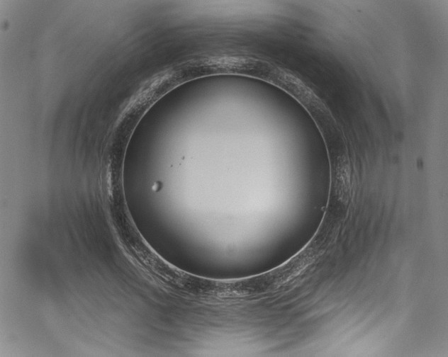 X0000067950734200604131435