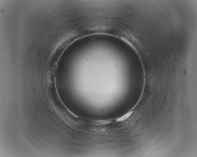 X0000067950735200604131435