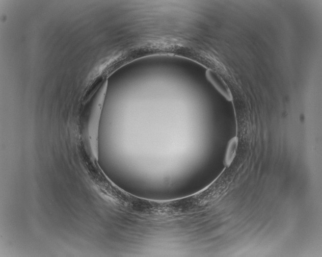 X0000067950736200604131435