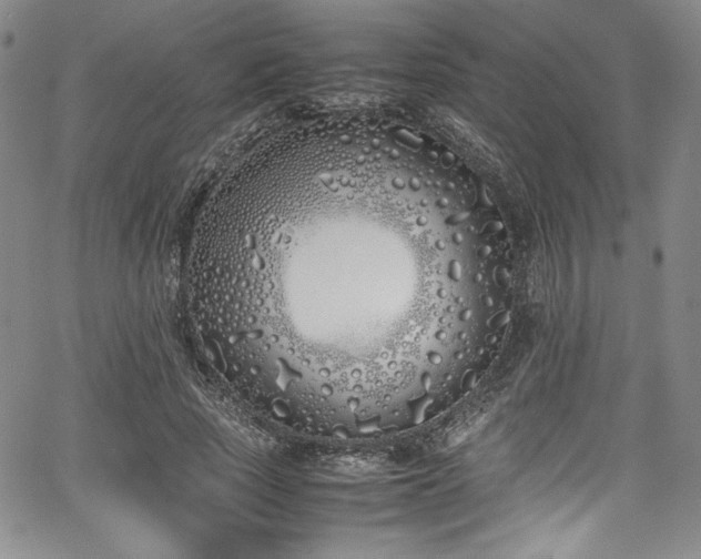 X0000067950737200604131435