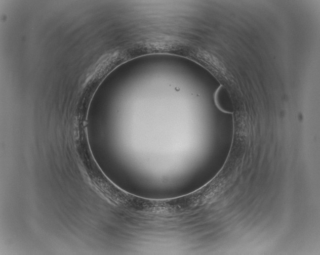 X0000067950738200604131435