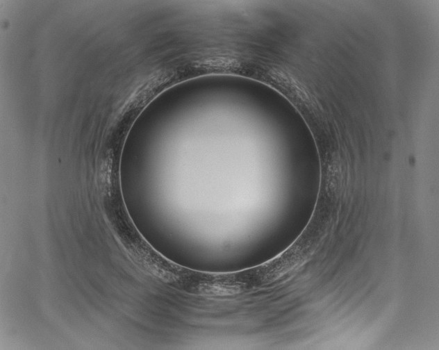 X0000067950739200604131435