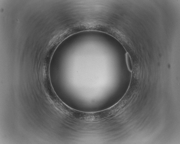 X0000067950740200604131435