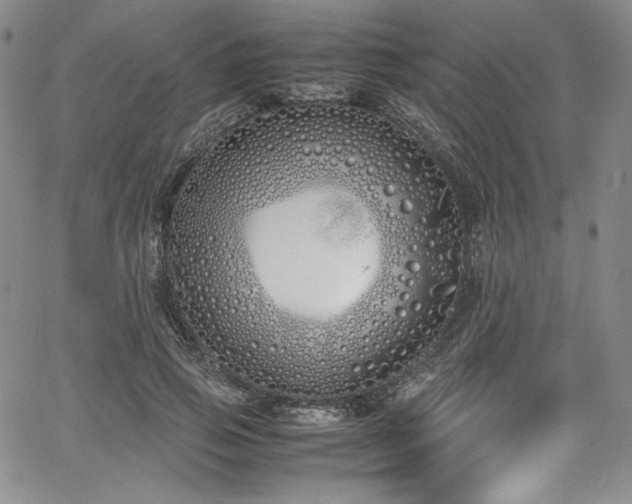 X0000067950741200604131435