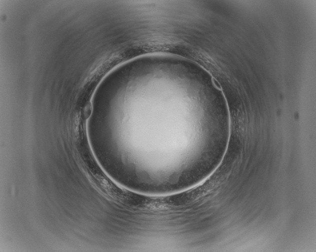 X0000067950742200604131435