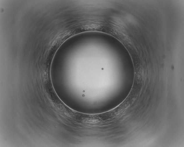 X0000067950743200604131435