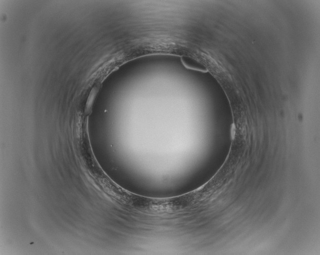 X0000067950744200604131435