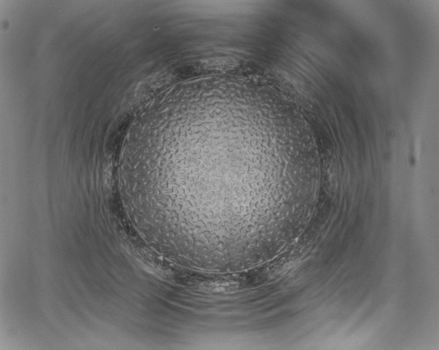 X0000067950745200604131435