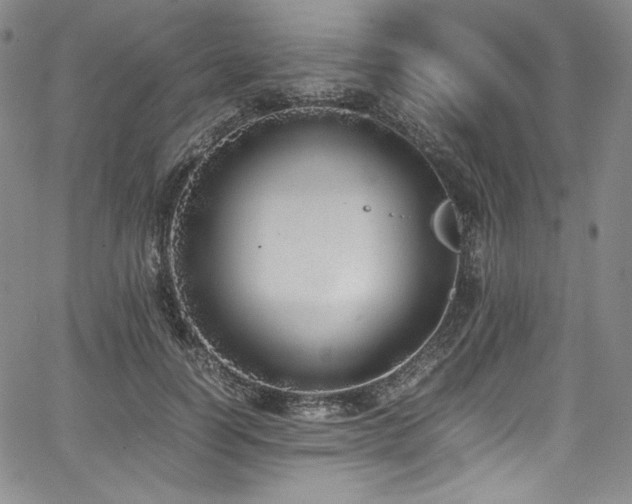 X0000067950746200604131435