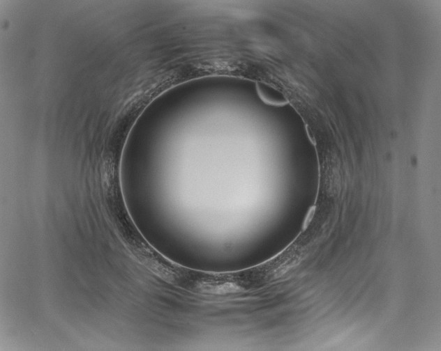 X0000067950747200604131435