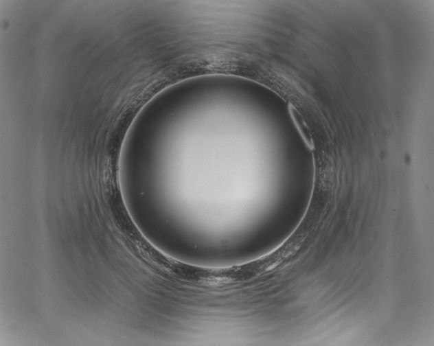 X0000067950748200604131435