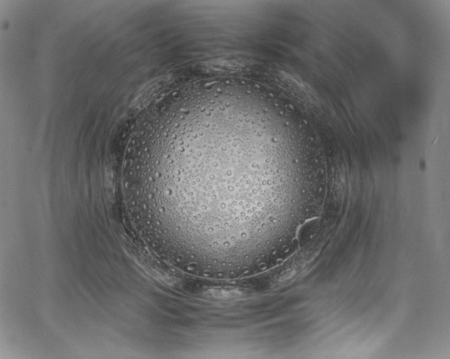 X0000067950749200604131435