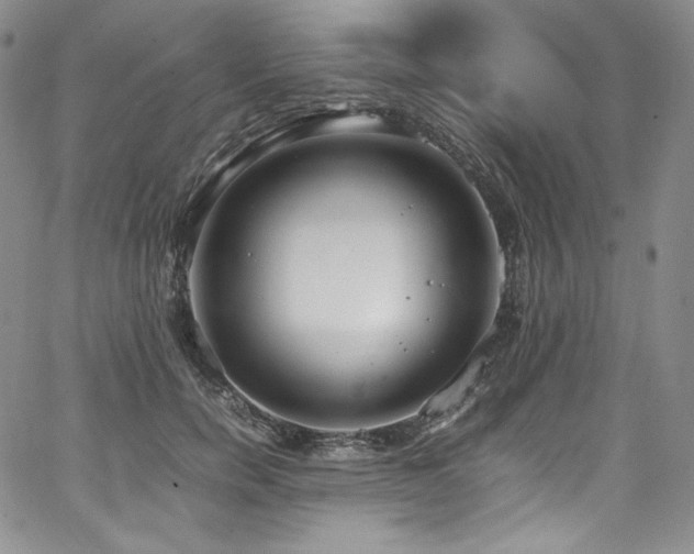 X0000067950750200604131435