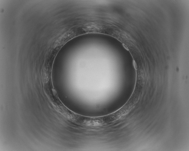 X0000067950751200604131435