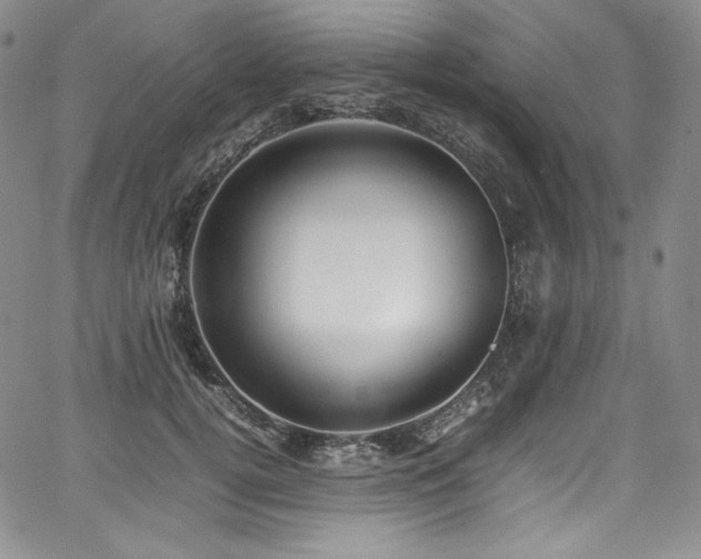 X0000067950752200604131435