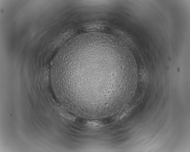 X0000067950753200604131435