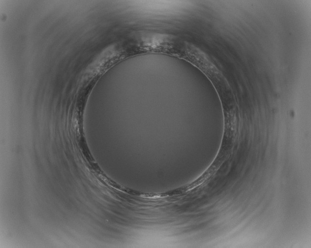 X0000067950754200604131435