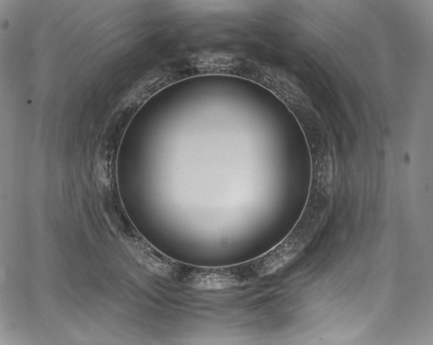 X0000067950755200604131435