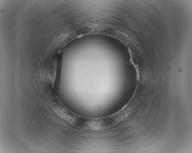 X0000067950756200604131435