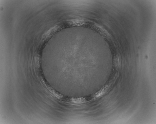 X0000067950757200604131435