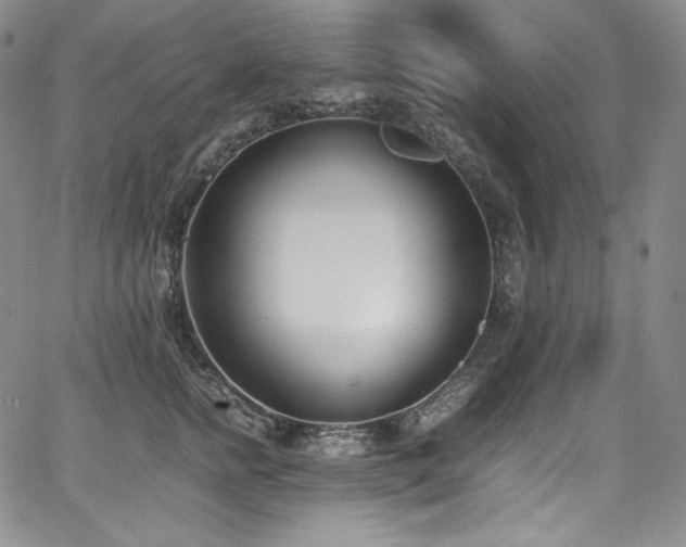 X0000067950758200604131435