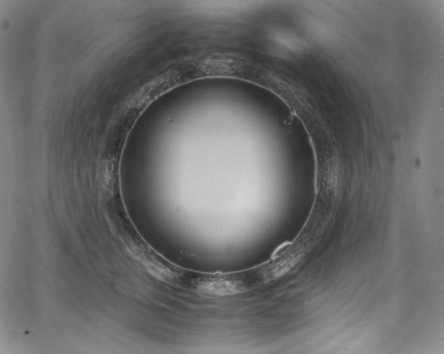 X0000067950759200604131435