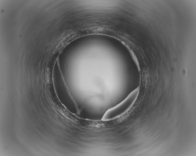 X0000067950760200604131435