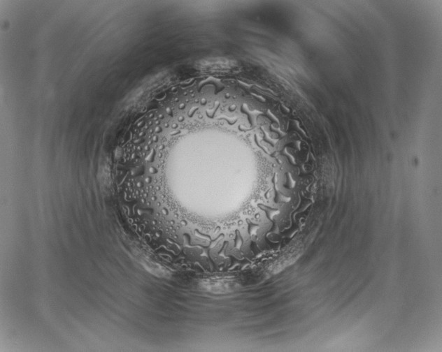 X0000067950761200604131435