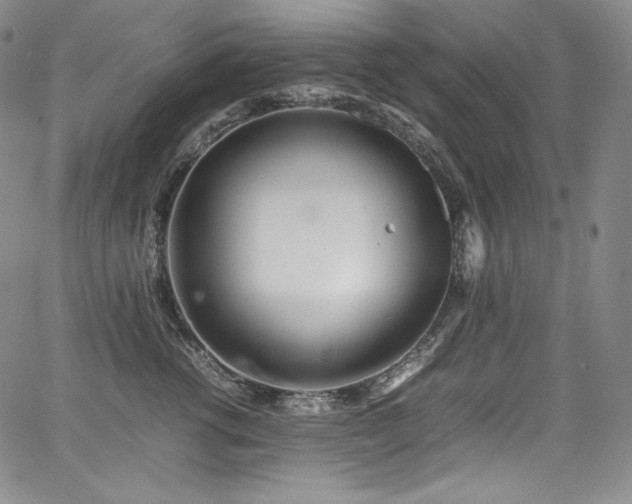 X0000067950762200604131435