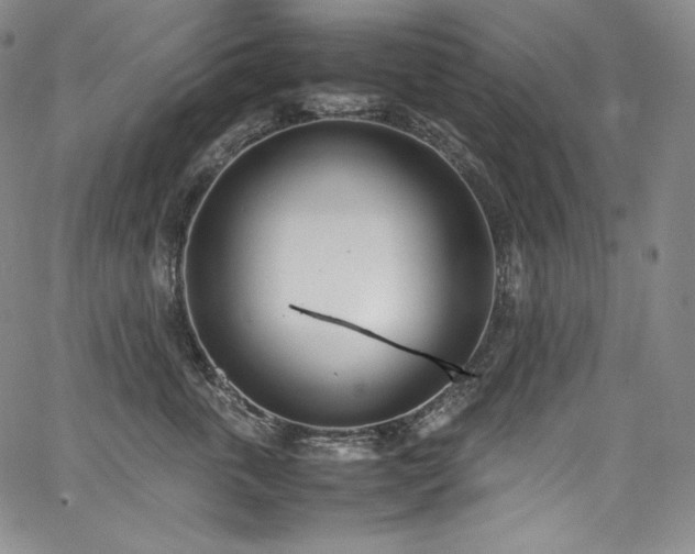 X0000067950763200604131435