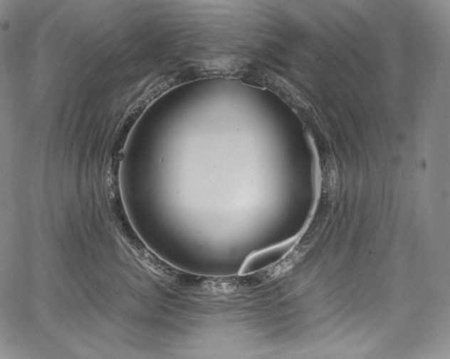 X0000067950764200604131435