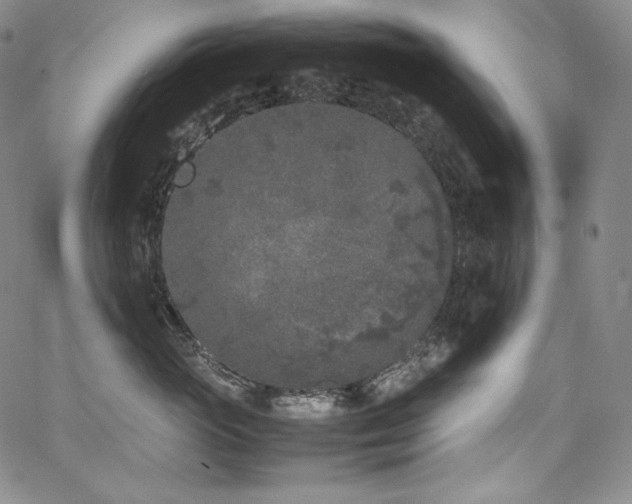 X0000067950765200604131435