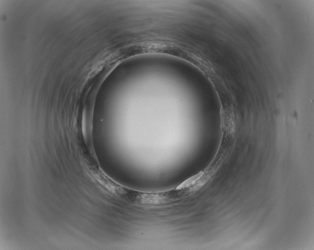 X0000067950766200604131435