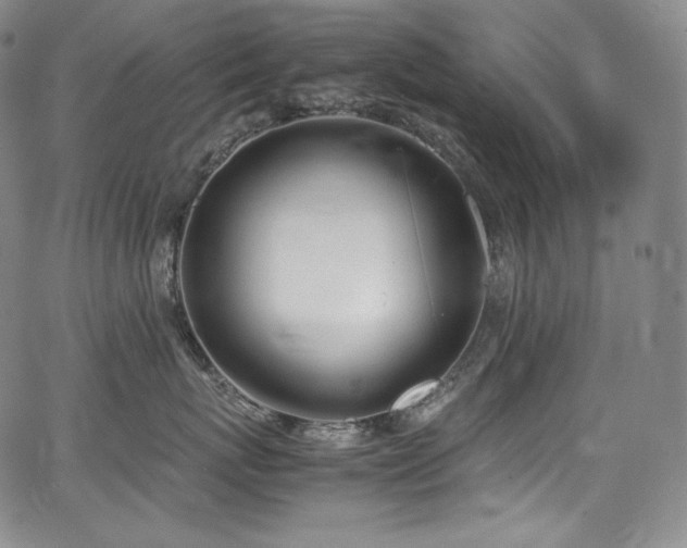 X0000067950767200604131435