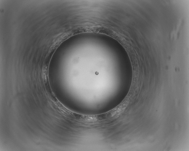 X0000067950768200604131435