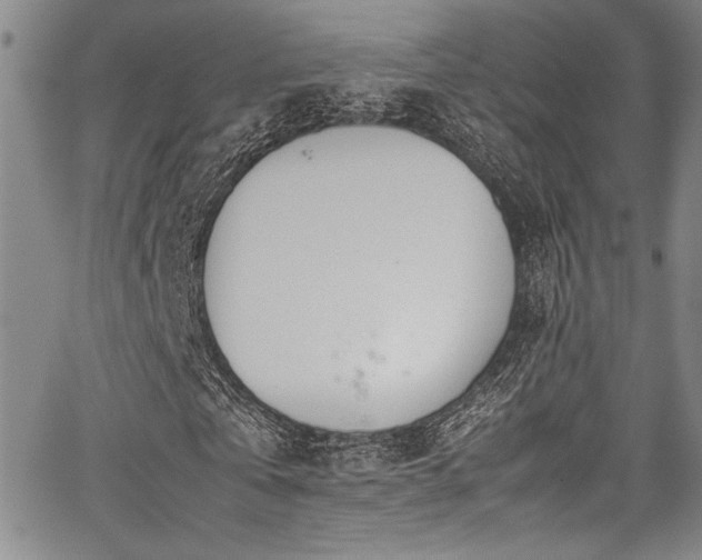 X0000067950769200604131434