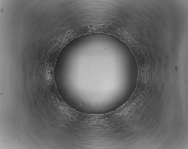 X0000067950770200604131434