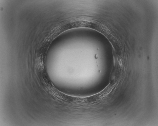 X0000067950771200604131434