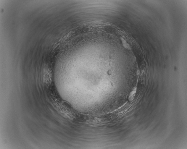 X0000067950772200604131434