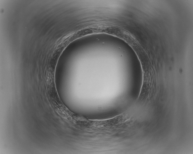 X0000067950773200604131434