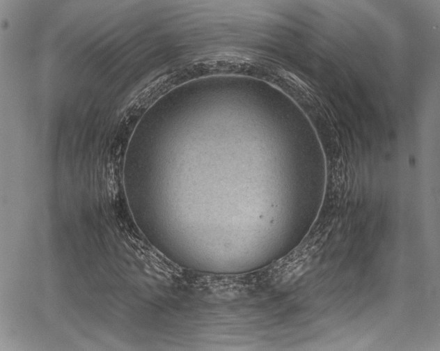 X0000067950774200604131434