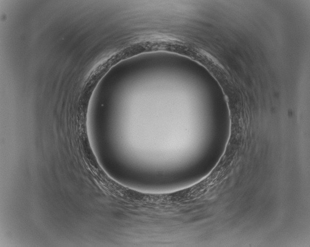 X0000067950775200604131434