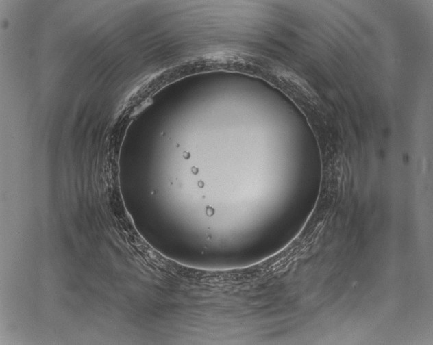 X0000067950776200604131434