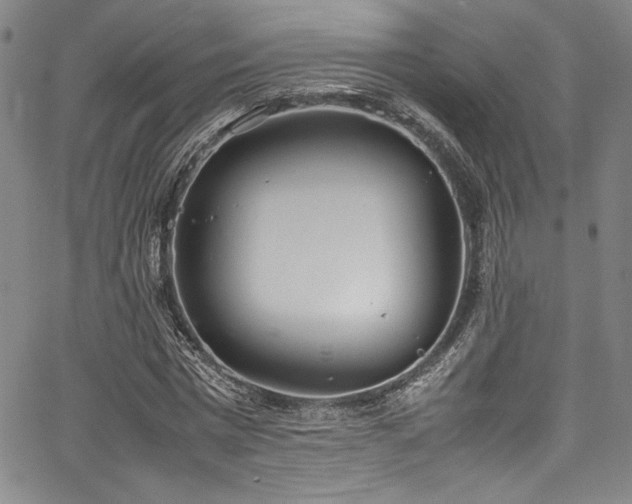 X0000067950777200604131434