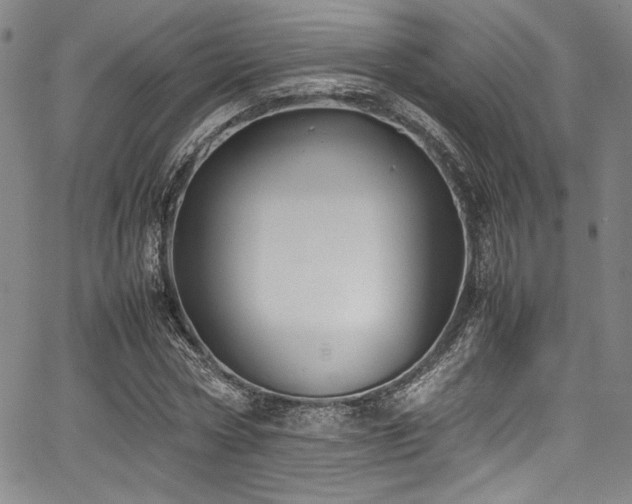 X0000067950778200604131434