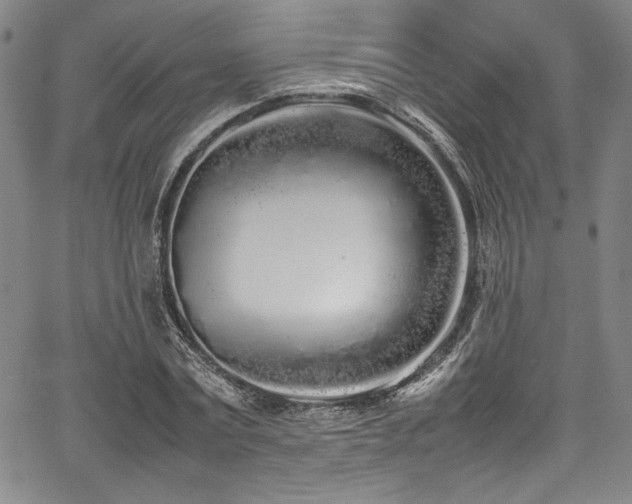 X0000067950779200604131434